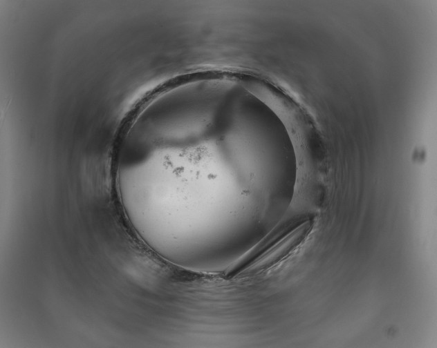X0000091461214200708161516