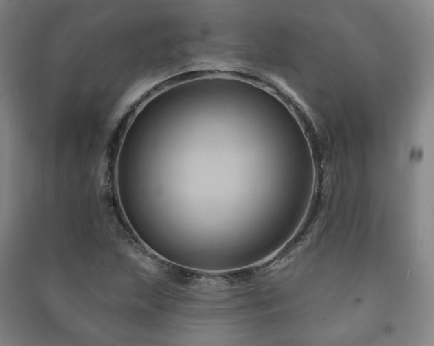 X0000091461215200708161516