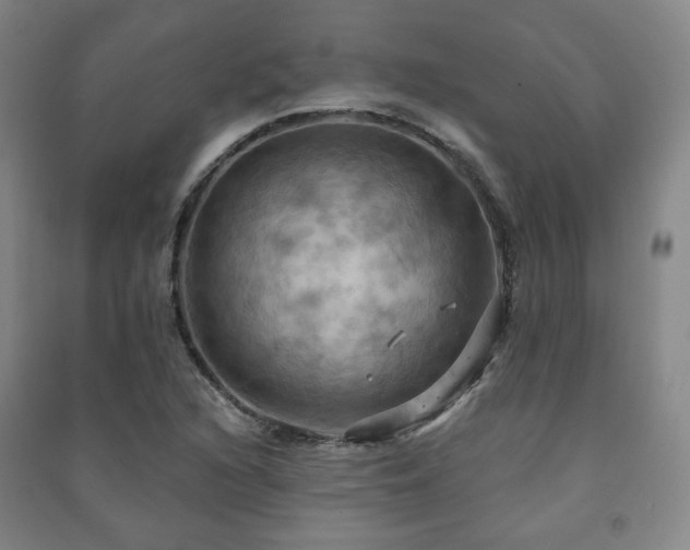 X0000091461216200708161516