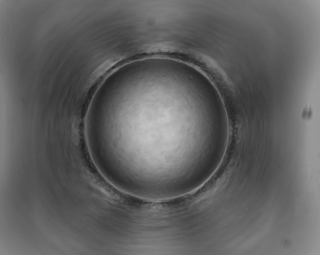 X0000091461217200708161516