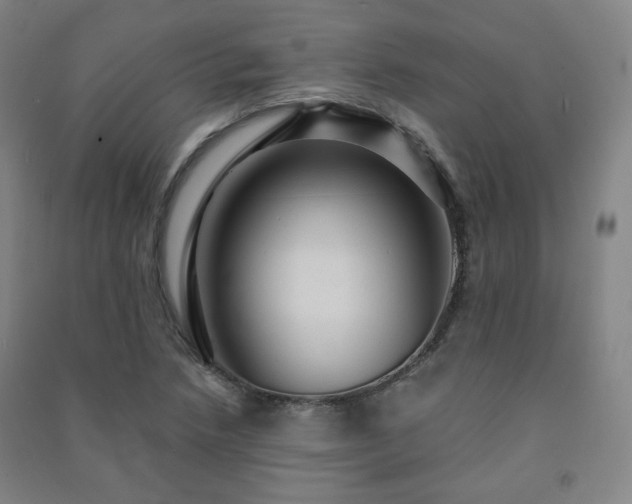 X0000091461218200708161516