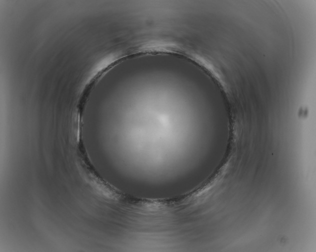X0000091461219200708161516
