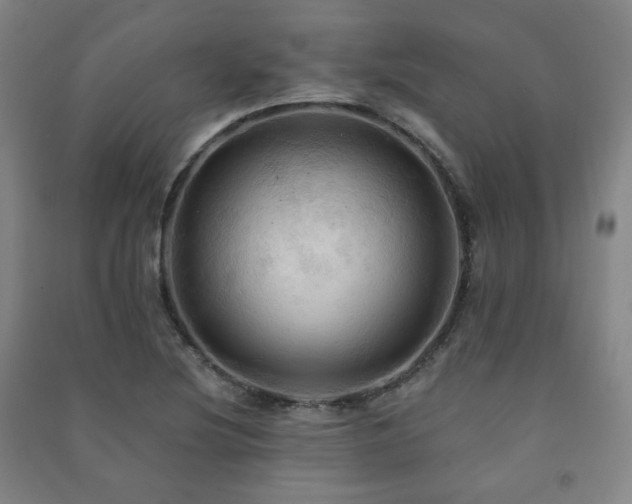 X0000091461220200708161516