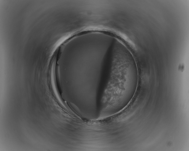 X0000091461221200708161516