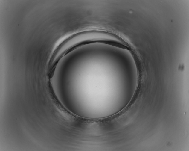 X0000091461222200708161516