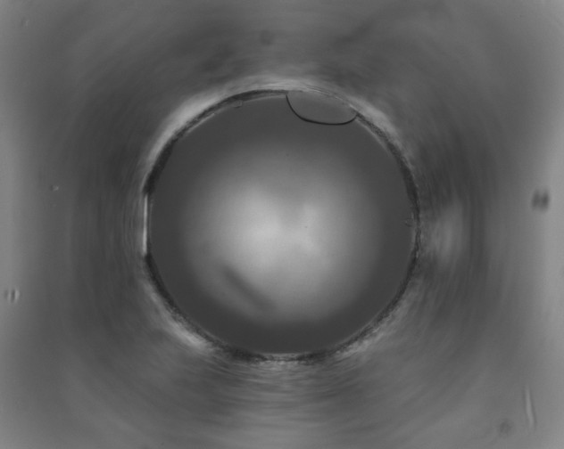 X0000091461223200708161516