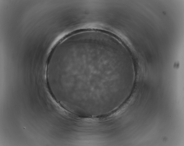 X0000091461224200708161516