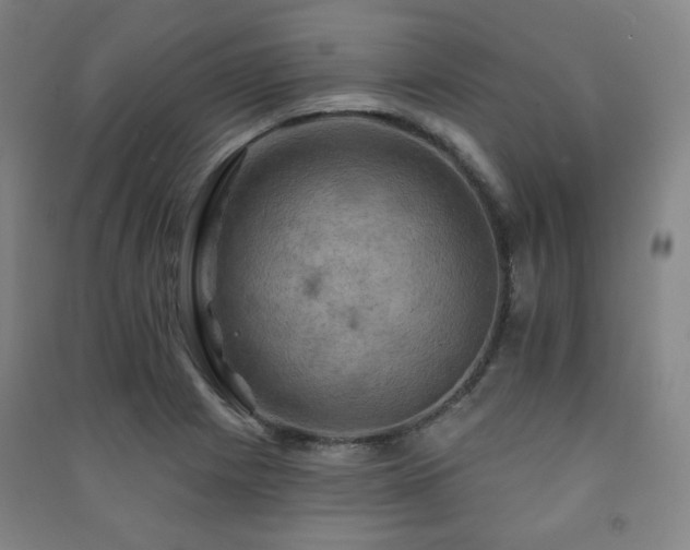 X0000091461225200708161516
