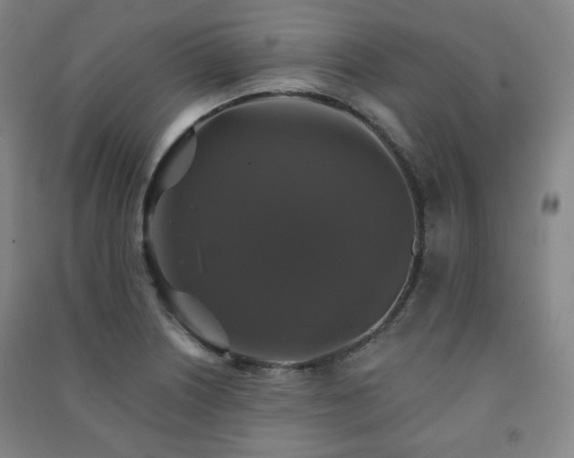 X0000091461226200708161516