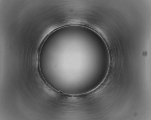 X0000091461227200708161516