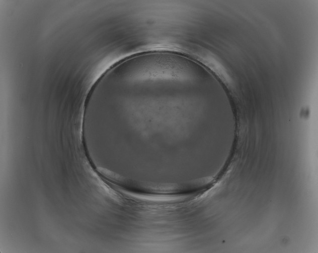 X0000091461228200708161516