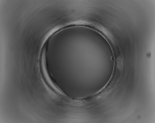 X0000091461229200708161516