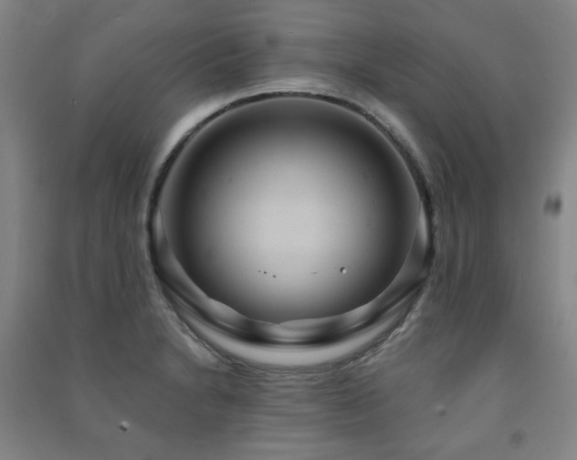 X0000091461230200708161516