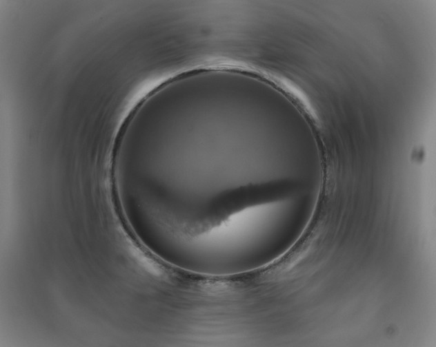X0000091461231200708161516
