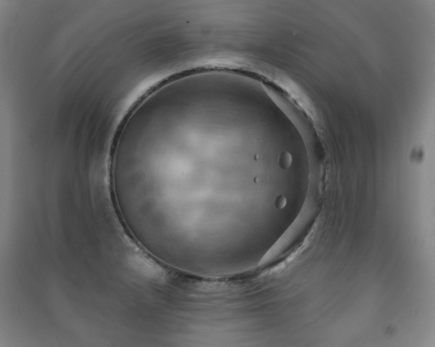 X0000091461232200708161516