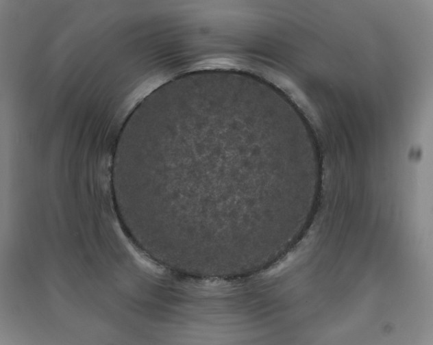 X0000091461233200708161516