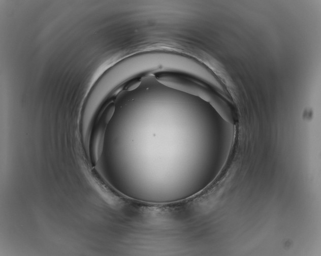 X0000091461234200708161516