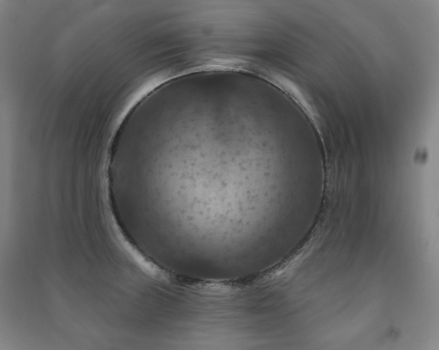X0000091461235200708161516