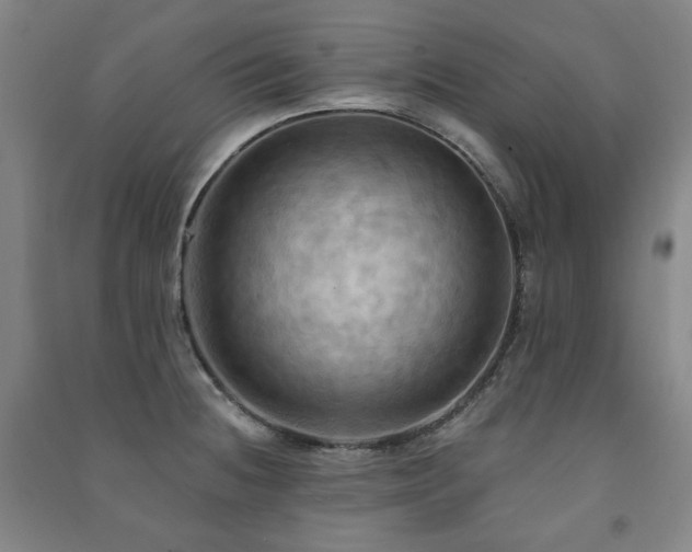 X0000091461236200708161516