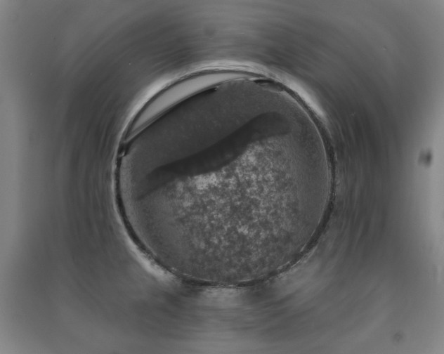 X0000091461237200708161516