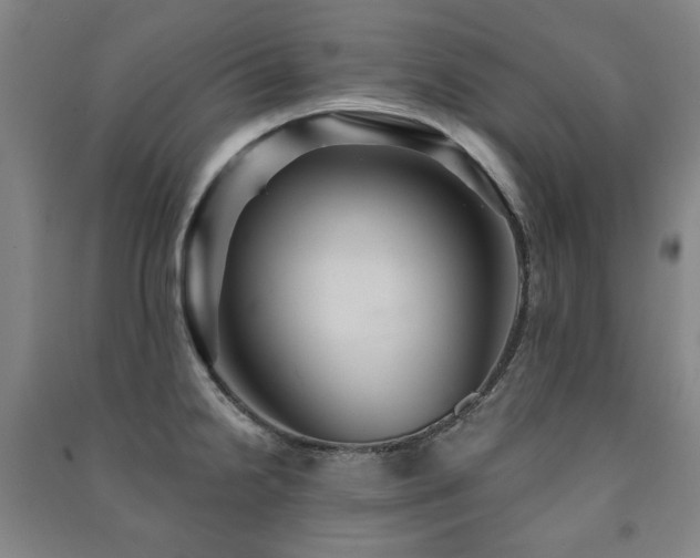 X0000091461238200708161516
