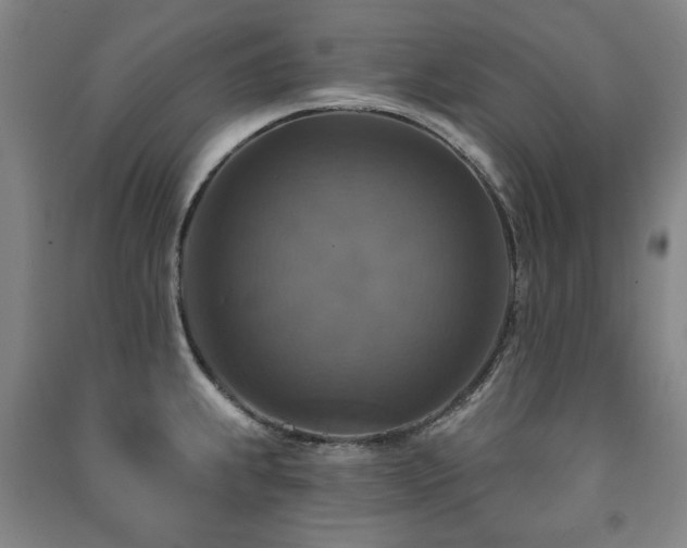 X0000091461239200708161516