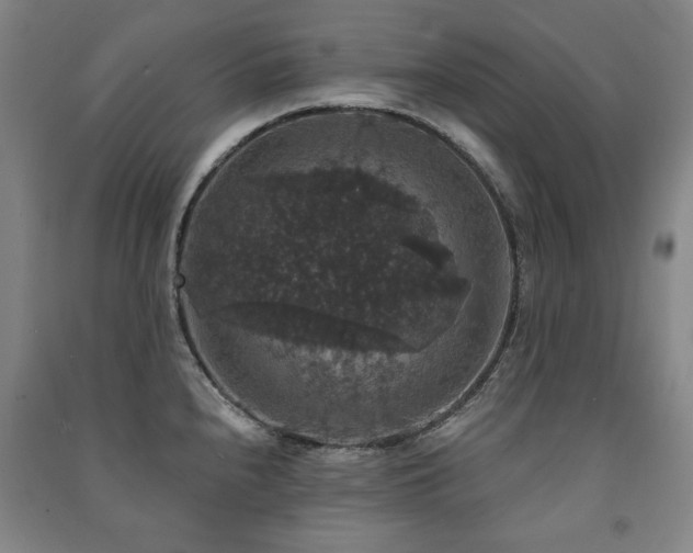 X0000091461240200708161516