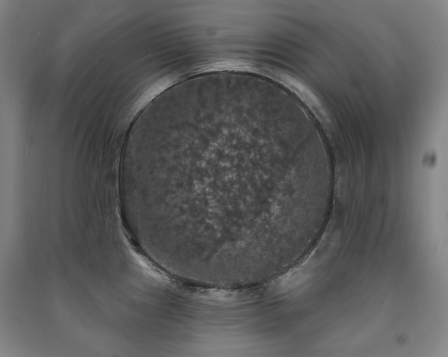 X0000091461241200708161516