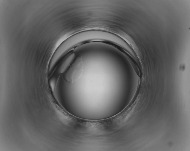 X0000091461242200708161516