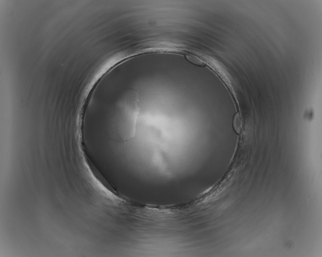 X0000091461243200708161516