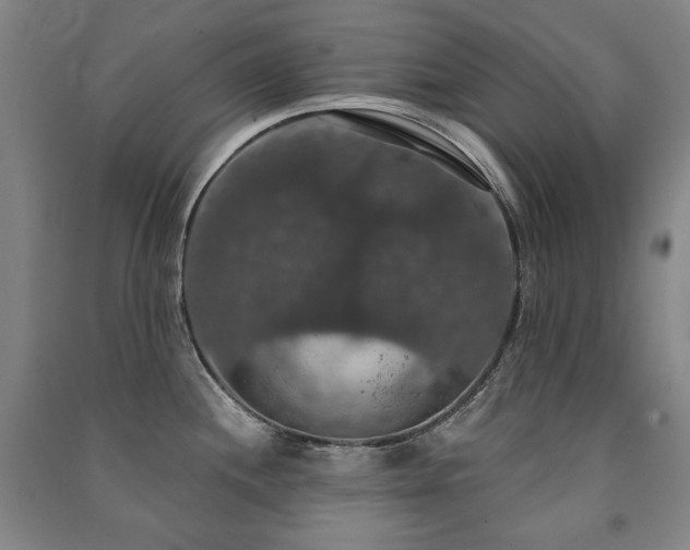 X0000091461244200708161516