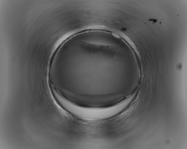 X0000091461245200708161516