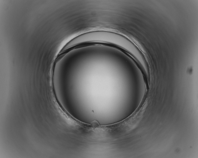 X0000091461246200708161516