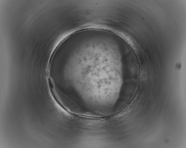 X0000091461247200708161516