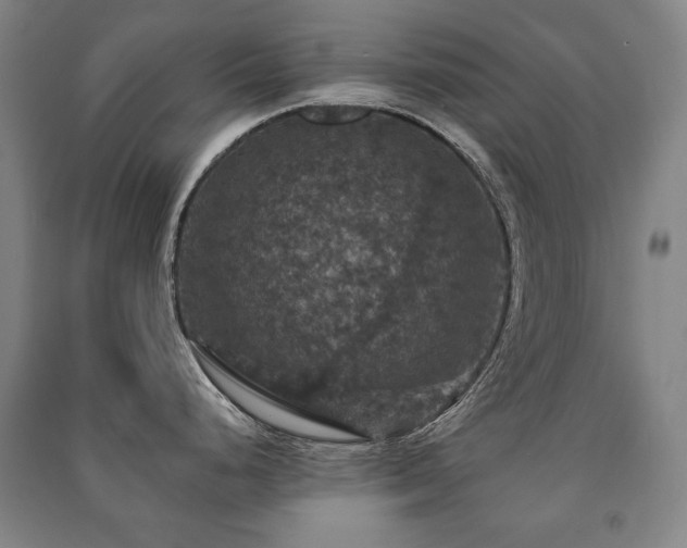 X0000091461248200708161516