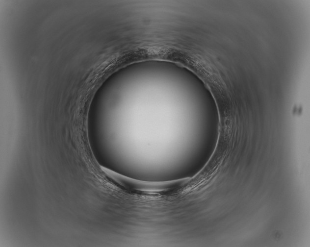 X0000091461249200708161515