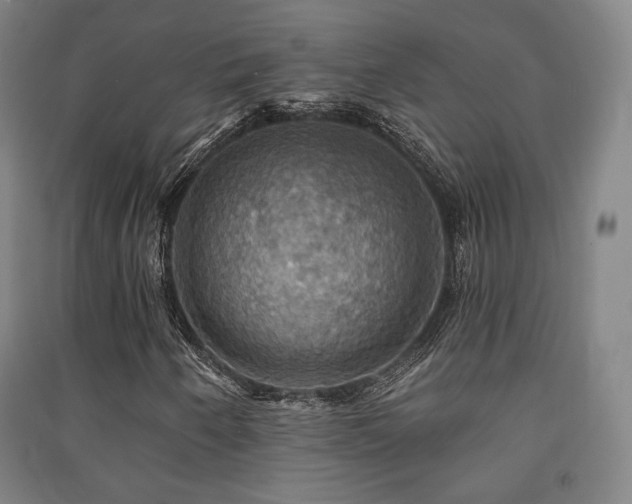 X0000091461250200708161515