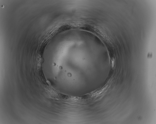 X0000091461251200708161515