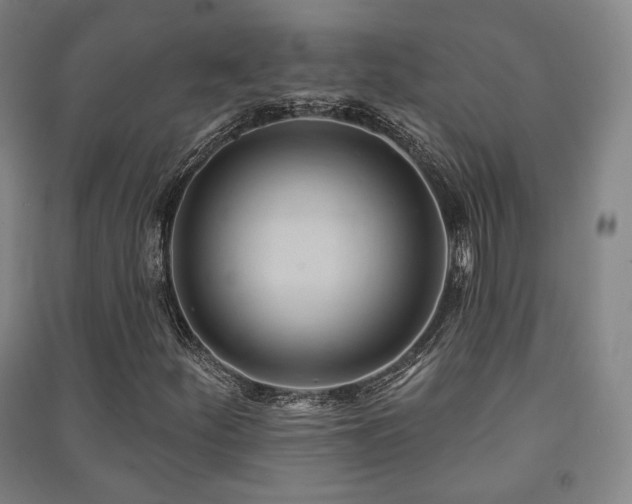 X0000091461252200708161515
