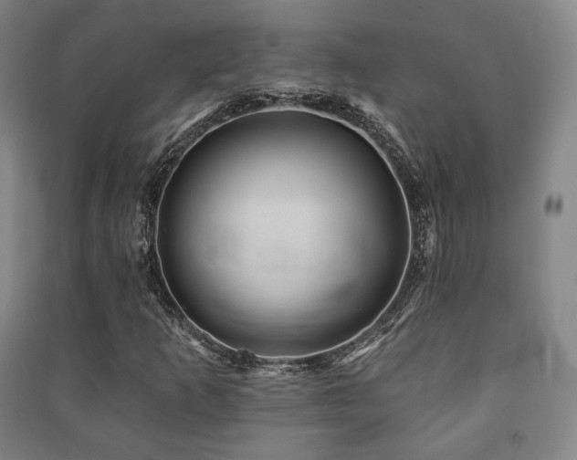 X0000091461253200708161515