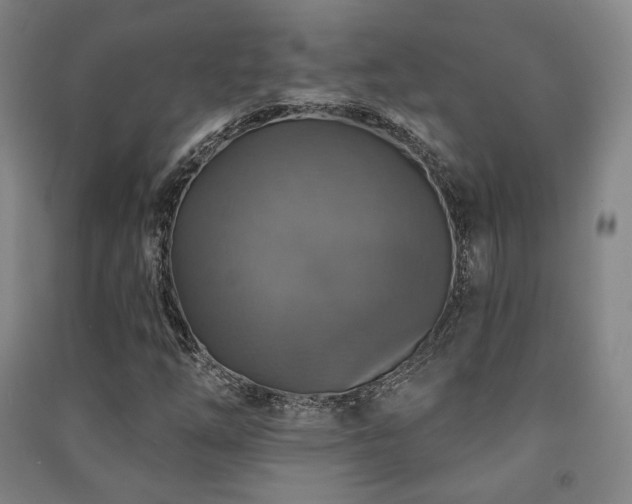 X0000091461254200708161515