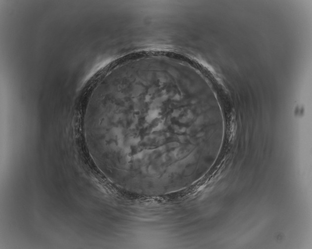 X0000091461255200708161515