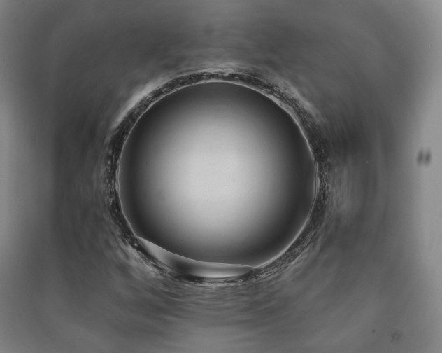 X0000091461256200708161515