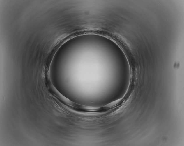 X0000091461257200708161515