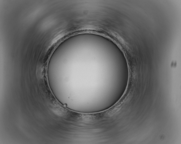 X0000091461258200708161515