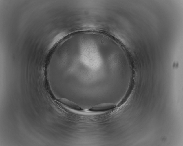 X0000091461259200708161515
