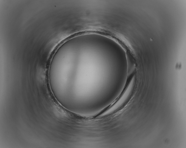 X0000091461260200708161515