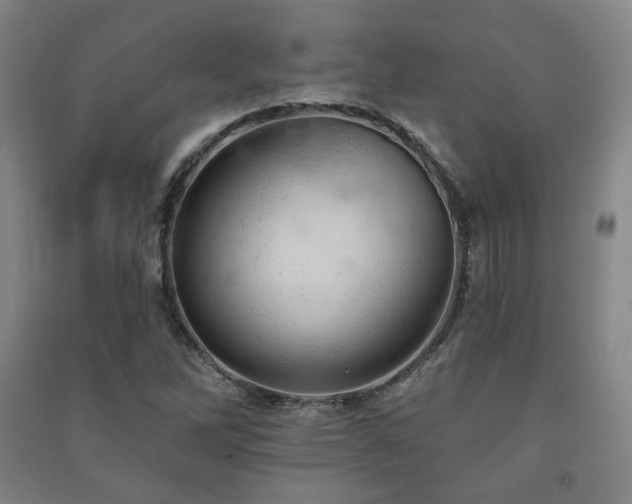X0000091461262200708161515