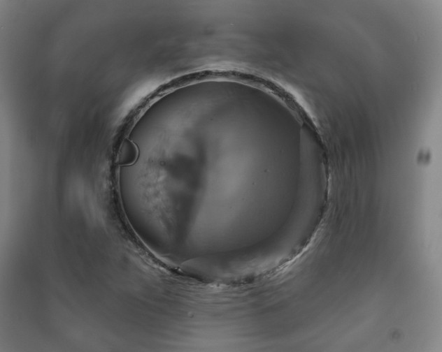 X0000091461263200708161515