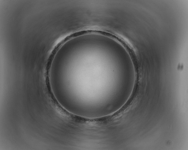 X0000091461264200708161515